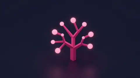 Fizyoloji kategorisi