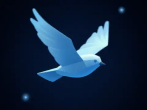 Kuşların Uçuşundaki Aerodinamik