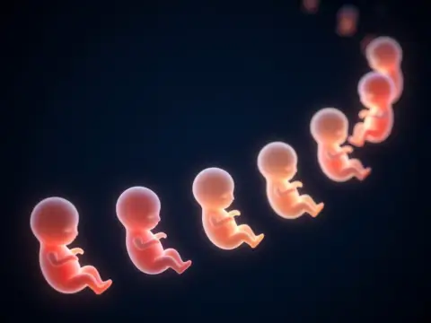 Yaratılış Aşamalarının Belirlenmiş Süresi