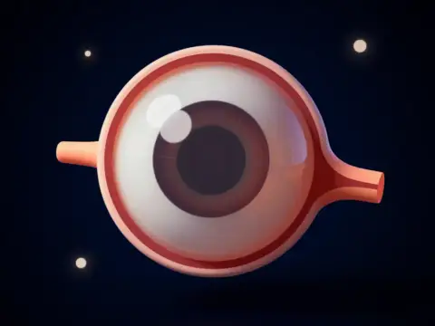 Gözün İnce Mühendisliği