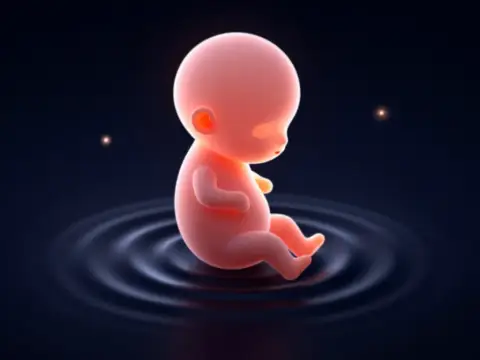 Cenin Önce İşitir, Sonra Görür