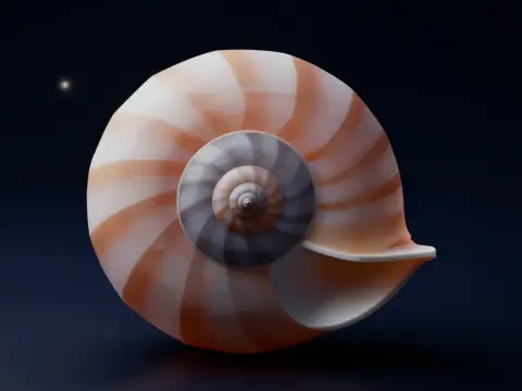 Tabiattaki Altın Oran (φ ≈ 1.618)