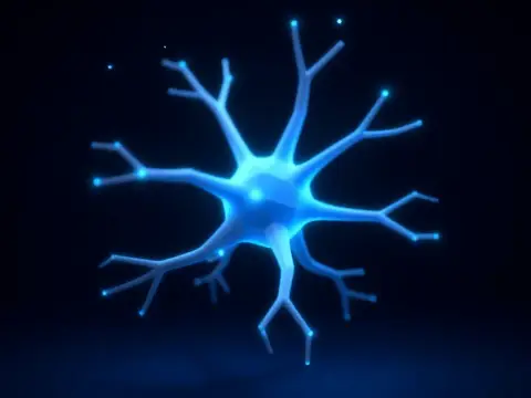 Nöronlar, Beynin Yıldız Halkaları