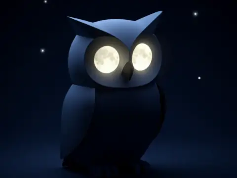 Gece Hayvanlarının Görüş Hârikası