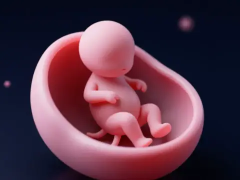 İmplantasyon, Karârın Mekîn