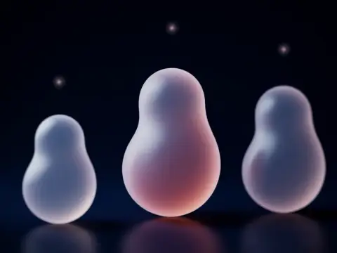 Rahmin Eksilmesi ve Çoğalması