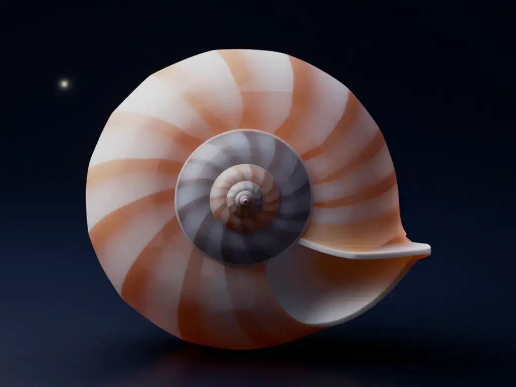 Tabiattaki Altın Oran (φ ≈ 1.618)